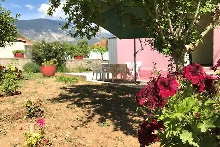 Pink House Pesadha